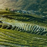 International Day for Biological Diversity (World Biodiversity Day)