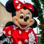 Minnie Mouse’s Birthday