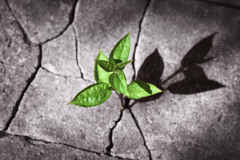 Resilience Week