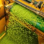 Great British Pea Week 2026