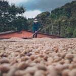 Fairtrade Fortnight 2026