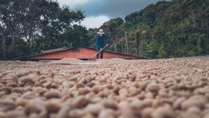 Fairtrade Fortnight 2026