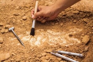 Festival Of British Archaeology 2026