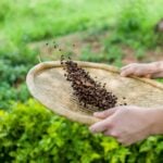 World Fairtrade Day 2026