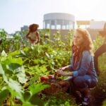 National Allotments Week 2026