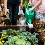 National Children’s Gardening Week 2026