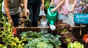 National Children’s Gardening Week 2026