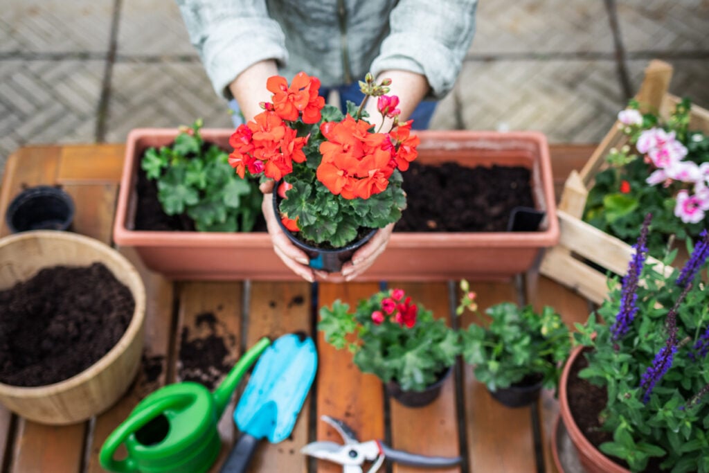 Gardening in spring for National Gardening Day