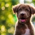 National Puppy Day