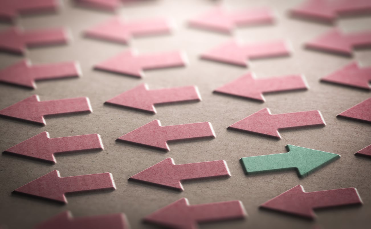 Contrasting arrows representing Opposite Day