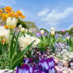 National Garden Month