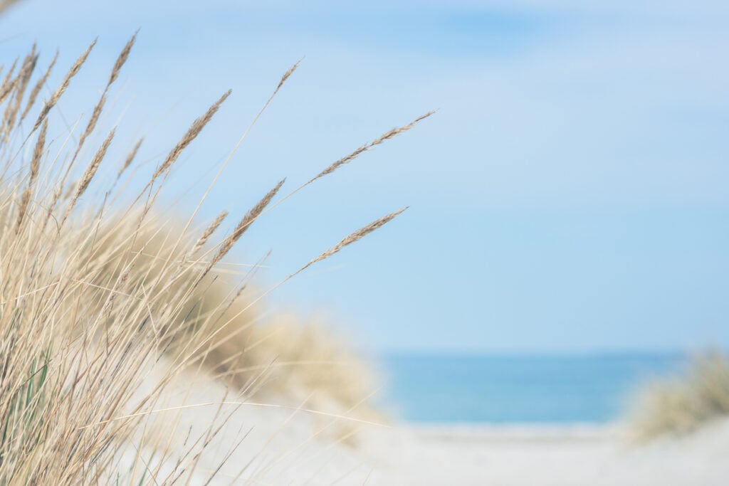 World Sand Dune Day