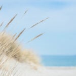 World Sand Dune Day