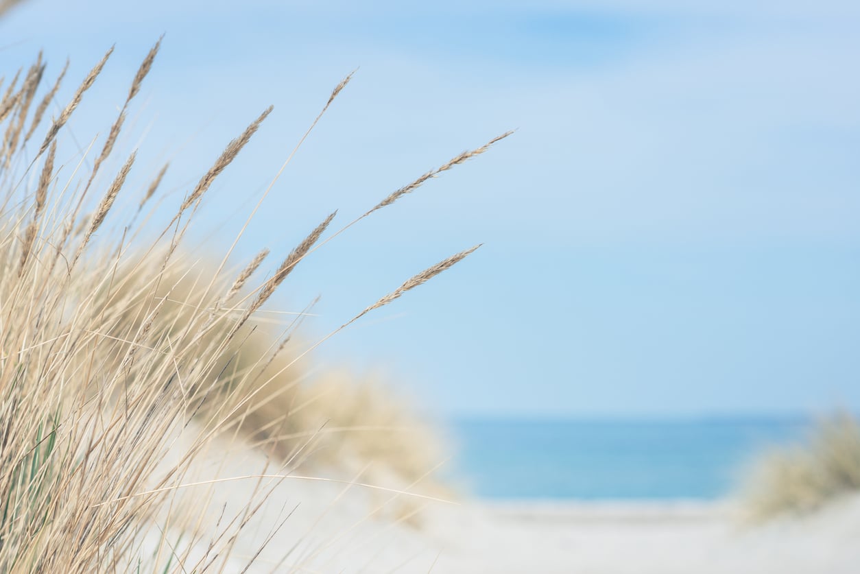 World Sand Dune Day — coastal sand dunes