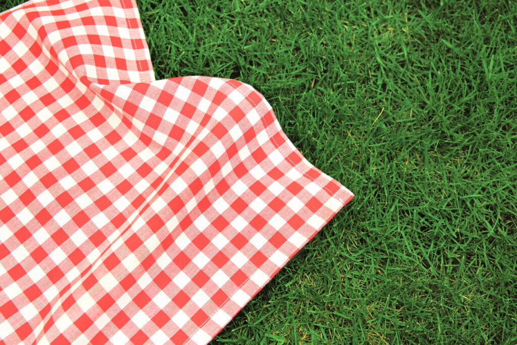 National Picnic Week