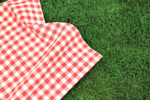 National Picnic Week