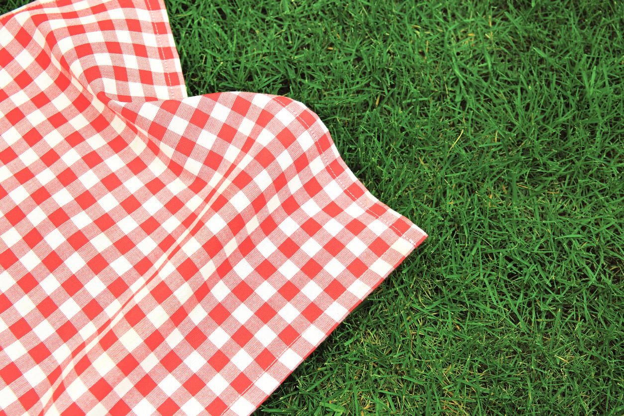 National Picnic Week UK