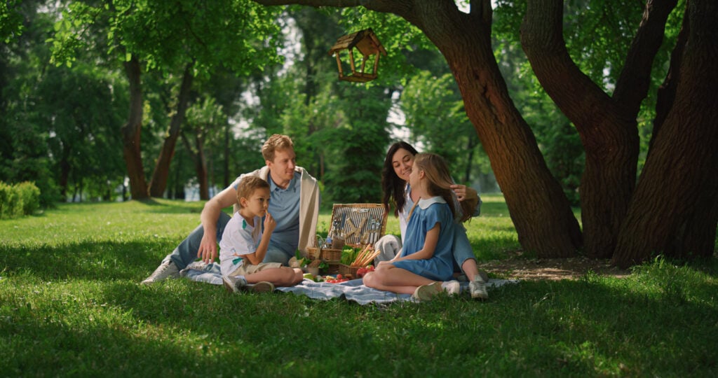 International Picnic Day