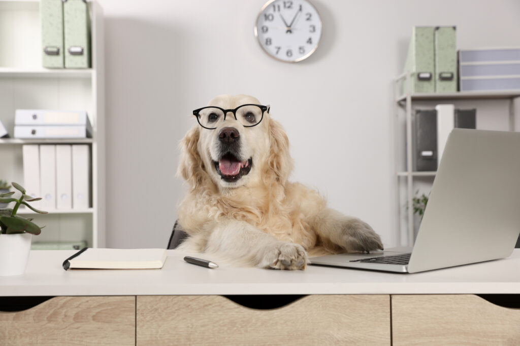 Bring Your Dog to Work Day