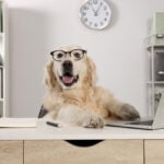 Bring Your Dog to Work Day