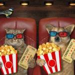 National Pets in Film Day