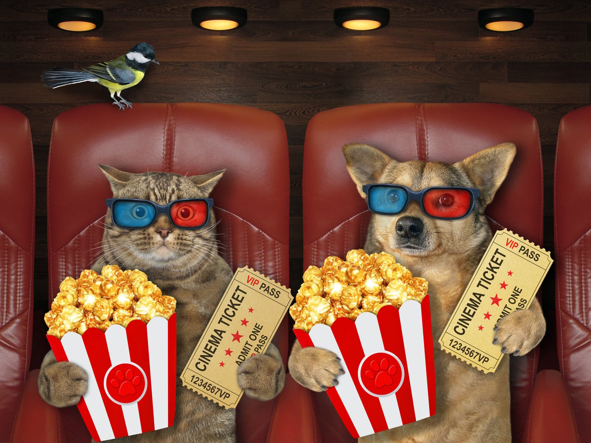 A dog and cat watching a film together, celebrating National Pets in Film Day