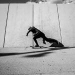 Go Skateboarding Day