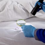 National Bed Bug Prevention Day