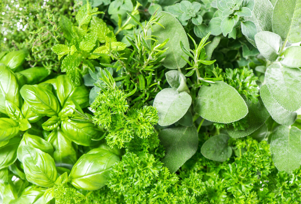 National Herbs and Spices Day