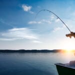 National Go Fishing Day