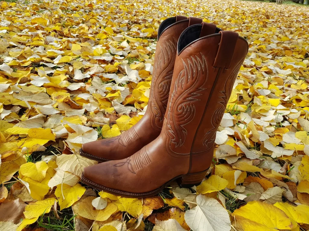 National Cowboy Boot Day: brown cowboy boots among autumn leaves