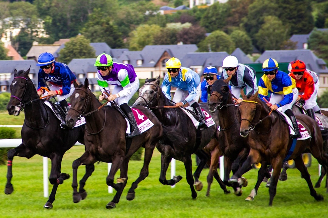Horses racing during a steeplechase