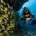 International Scuba Day