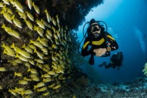 International Scuba Day