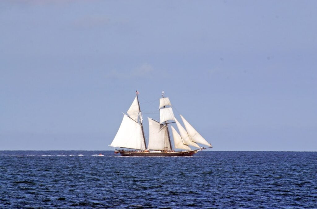 Mayflower Day