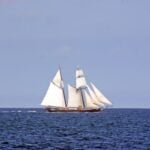 Mayflower Day