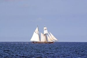 Mayflower Day