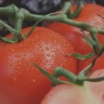 National Produce Misting Day