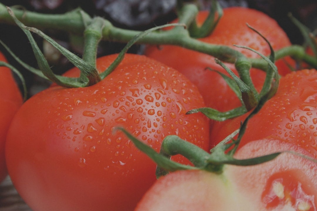 Fresh vegetables covered in water droplets in a grocery produce display