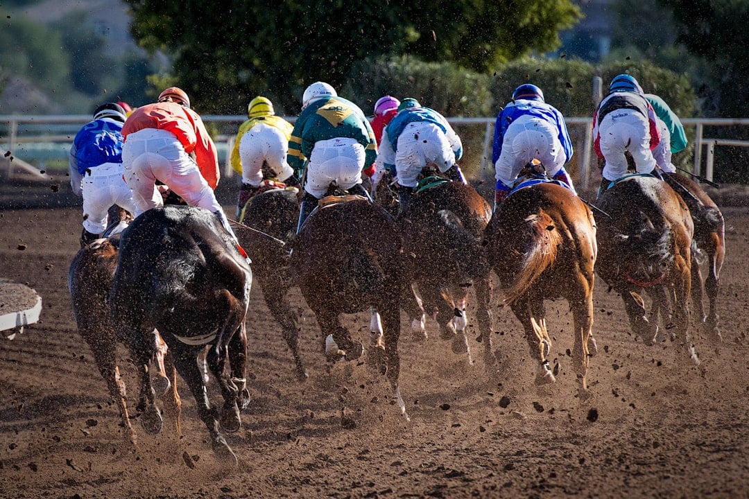 Thoroughbred horses racing on the track at Geelong Cup Day