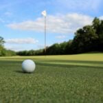 National Mulligan Day