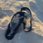 National Flip Flop Day