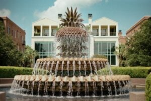 National South Carolina Day