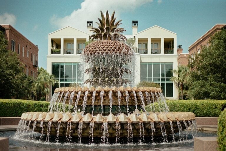 National South Carolina Day