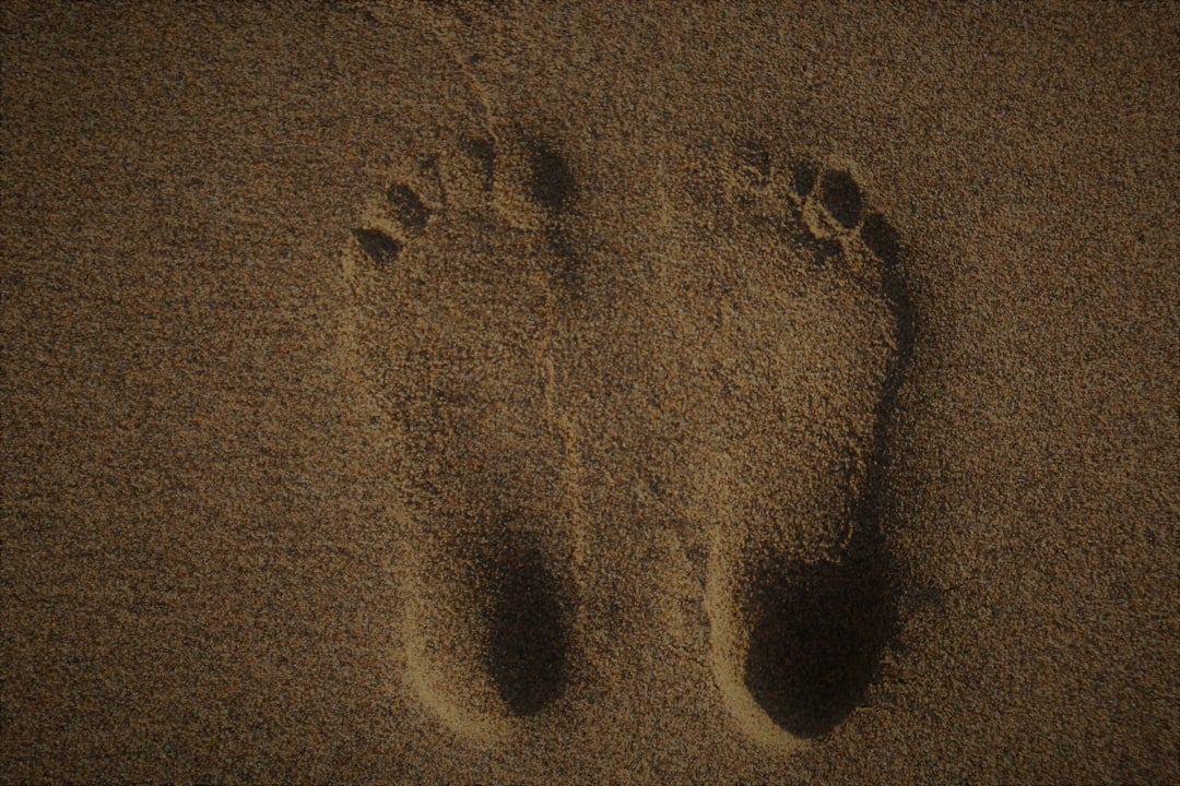 World Reflexology Week 2026 — reflexology