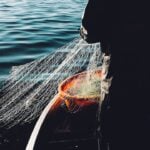 International Fisherman Day