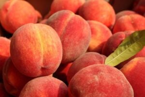 National Peach Month