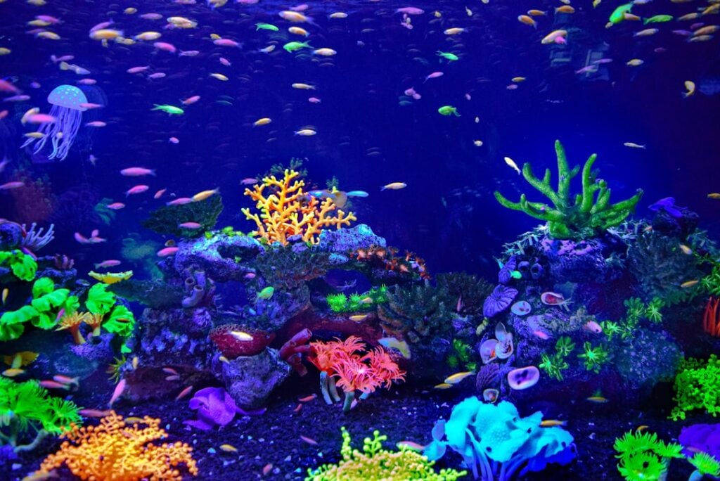 Clean Your Aquarium Day — clean your aquarium