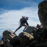 National Hike With A Geek Day