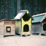 National Craft for Your Local Shelters Day